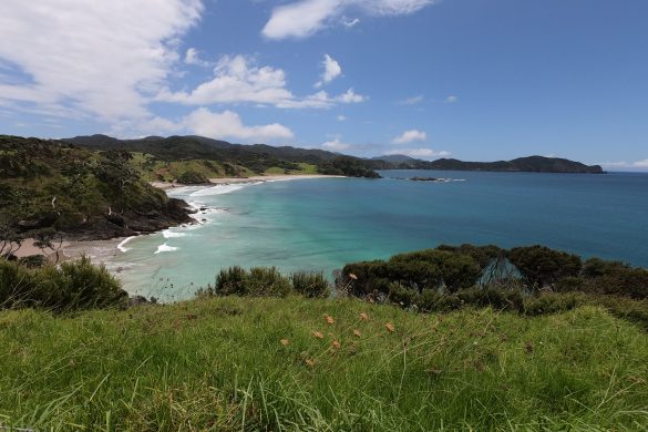New Zealand Family Holiday