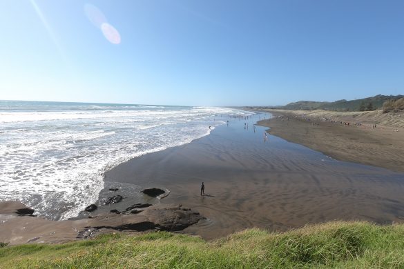 New Zealand Road Trip