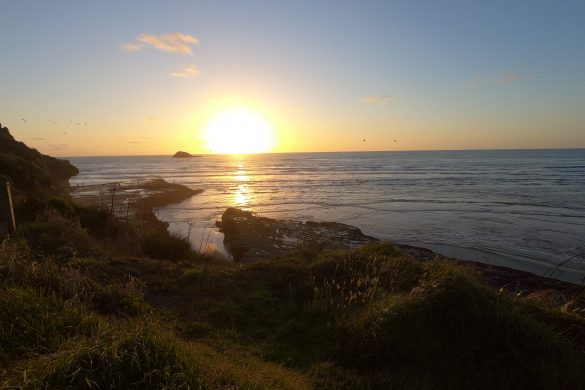 Muriwai Beach New Zealand